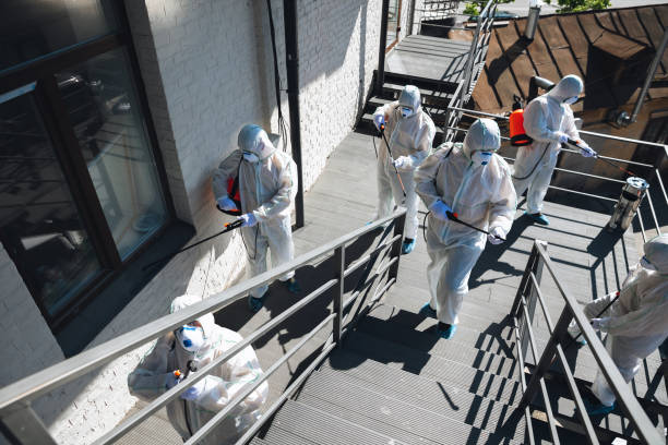 Best Mold Removal for HVAC Installations  in Rosemont, CA