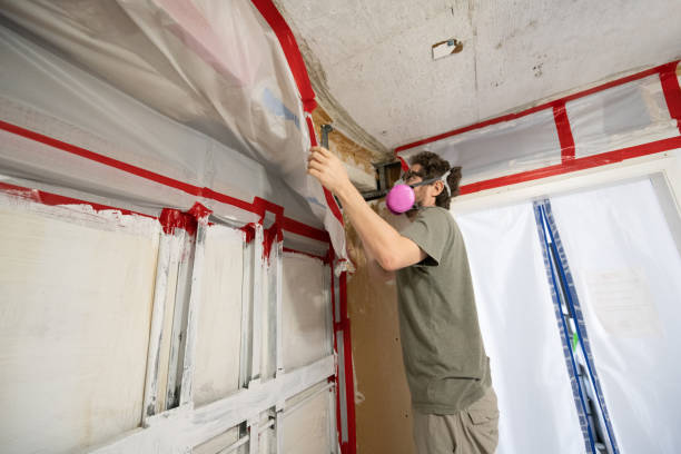 Best Crawl Space Mold Remediation  in Rosemont, CA