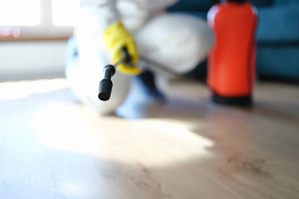  Rosemont, CA Mold Removal Pros
