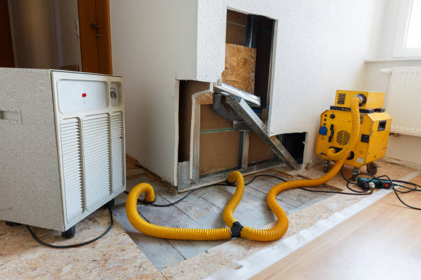 Best Crawl Space Mold Remediation  in Rosemont, CA