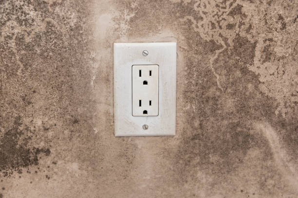 Mold Documentation for Insurance Claims in Rosemont, CA